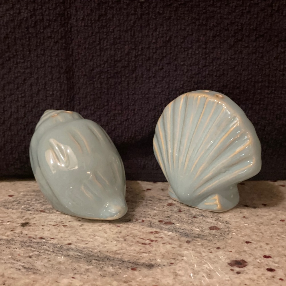 Light Blue Sea Shell Salt and Pepper Shakers